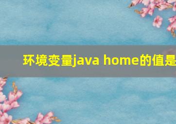 环境变量java home的值是